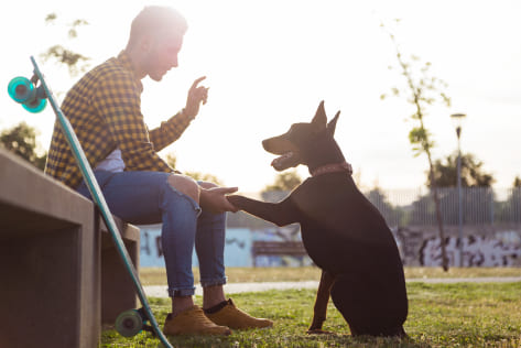 Nuestra filosofía: Respeto y ciencia en la educación canina