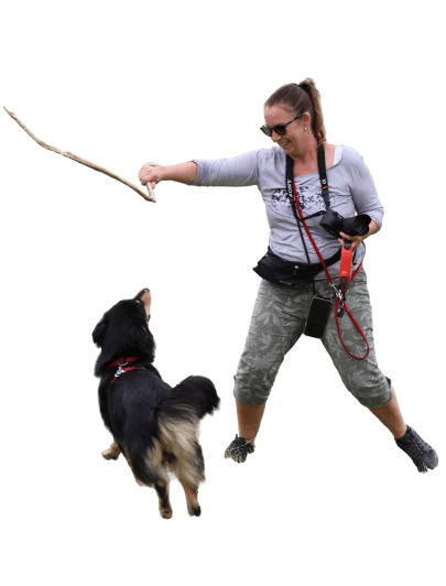 Què són els serveis en conjunt a Dog Solutions?